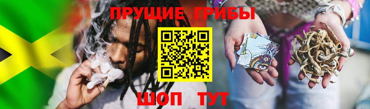Псилоцибиновые грибы мухоморы Новосибирск